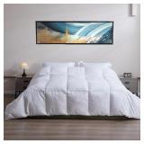 Aiwwaimm Soild White Goose Queen Down Comforter Ki