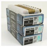 (70) Rounds 243 Ammunition