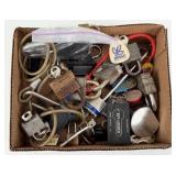 Group of Locks & Keys