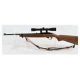 Ruger 10/22 .22 LR Semi-Auto Rifle