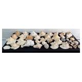 Large Collection of Miscellaneous Seashells