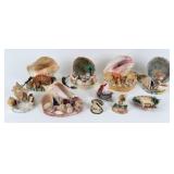 Group of Seashell Decorative Displays & Lamps