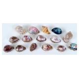 Group of Miscellaneous Etched & Painted Shells