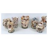 Collection of Misc. Seashells In Glass Vases