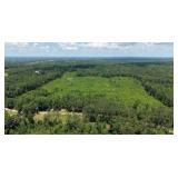 39.8 +/- ACRES HWY 22, SHILOH, TN