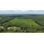 39.8 +/- ACRES HWY 22, SHILOH, TN ONLINE ONLY AUCTION