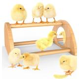 Chicken Perch with Mirror