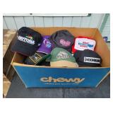 Ball Cap Lot: Trucker, Location, Event, Fishing