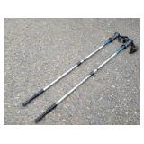 Pair of REI Traverse Walking Sticks