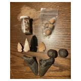 Arrowheads, Teeth, Sea Shells