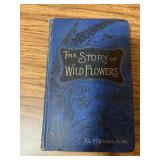 G. Henslow The Story of Wild Flowers