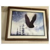 Bald Eagle Soaring Picture