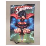 2016 DC Superman : Savage Dawn graphic novel