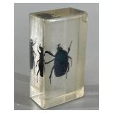 Green Beatle Bug in Lucite