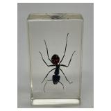 Giant Ant Specimen in Lucite Paperweight