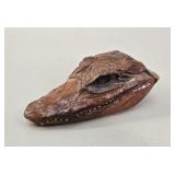 Taxidermy Caiman Alligator Head Souvenir