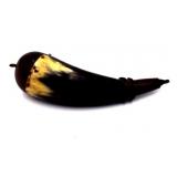 Antique Black Powder Horn Flask