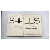 A Studio Book Shells
