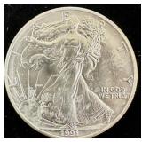 1991 American Silver American Eagle Coin