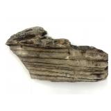 Fossilized Mammoth Molar Section