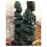 Artificial Lighted Trees (2)