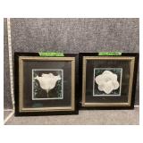 Framed Artwork (2)