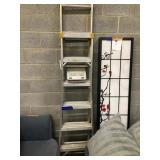 Step/Extension Ladder