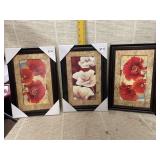 3 Picture Set