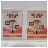 New Set of 2 ADL Antique Replica 30W - G30 - E26