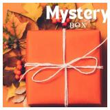 New, $100 Fall Seasonal Items Mystery Box