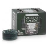 New Yankee Candle White Sage