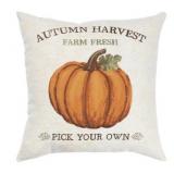 New Brentwood Originals Autumn Harvest Pillow