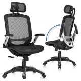 $192  Ergonomic Office Chair, High Back Ho