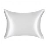 Blissy King 600 Thread Count Silk Pillowcase Ivory