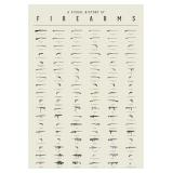 Alex Fernbach Gun Poster - A Visual History of Fir