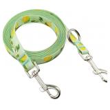 Waterproof Dog Tether Webbing Leash 10FT