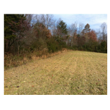 Halls ridge rd speedwell