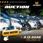 SOUTHEAST AUTOMOBILE AUCTION FEATURING VEHICLES, BOATS, MOTORCYCLES, RVS  - MARCH 12TH AT5:30 PM ET