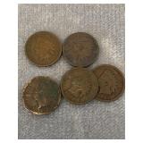 Lot of 5 Indian Head Pennies Various Dates
