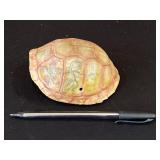 Decorative Turtle Shell