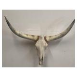 Longhorn Skull with Horns 4 Ft. Spread