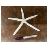 Large Star Fish