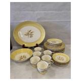 Semi Vitrious Autumn Gold Dishes