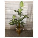 Large Ceramic Planter W/ Faux Dieffenbachia