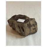 Large Piece of Petrified Wood