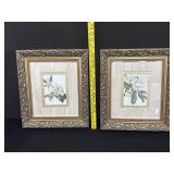 2 Framed Magnolia Prints