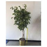 Artificial 7 Ft Ficus In Brass Planter