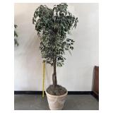 7 Ft Artificial Ficus Tree In Faux Stone Planter