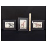 3 Framed Pictures Tiger Giraffe Elephant
