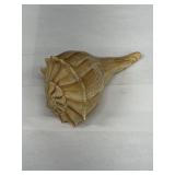 Vintage Lightning Whelk Shell